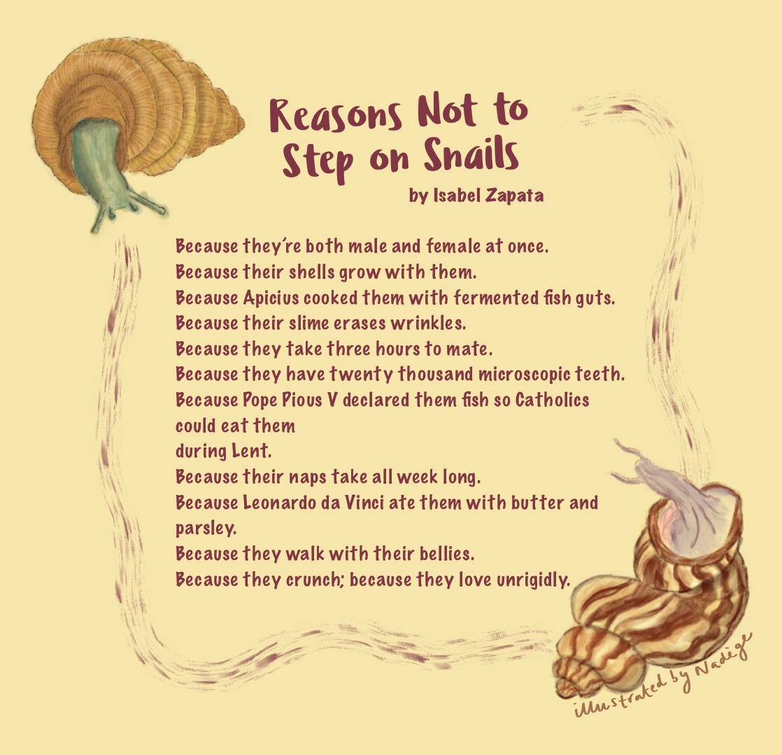 PoemSnail-IsabelZapata.png